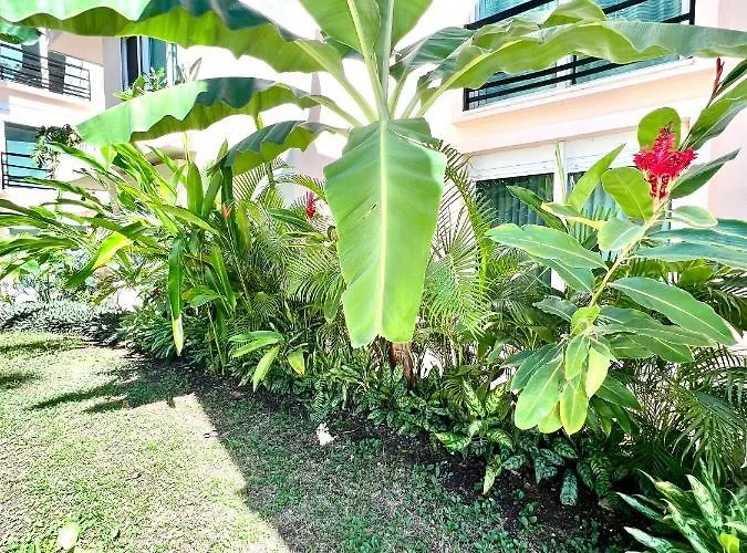Apartment Penthouse Con Terraza Privada Super Comodo Y Espacioso. Playa del Carmen