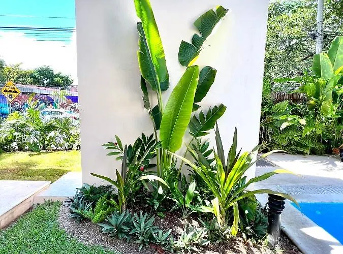 Penthouse Con Terraza Privada Super Comodo Y Espacioso. *