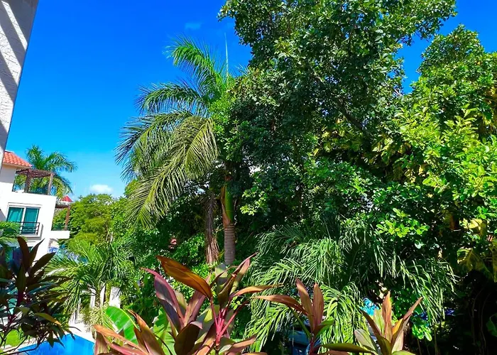 Apartment Penthouse Con Terraza Privada Super Comodo Y Espacioso. *
